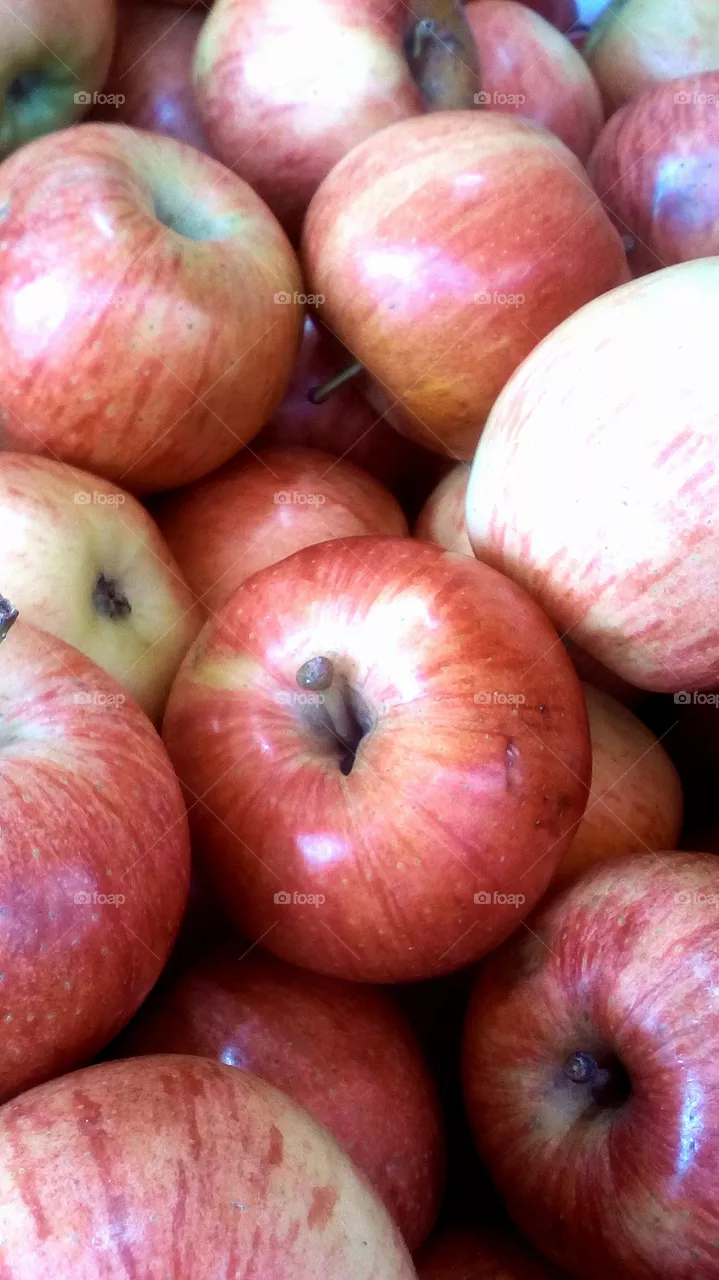 Fruit