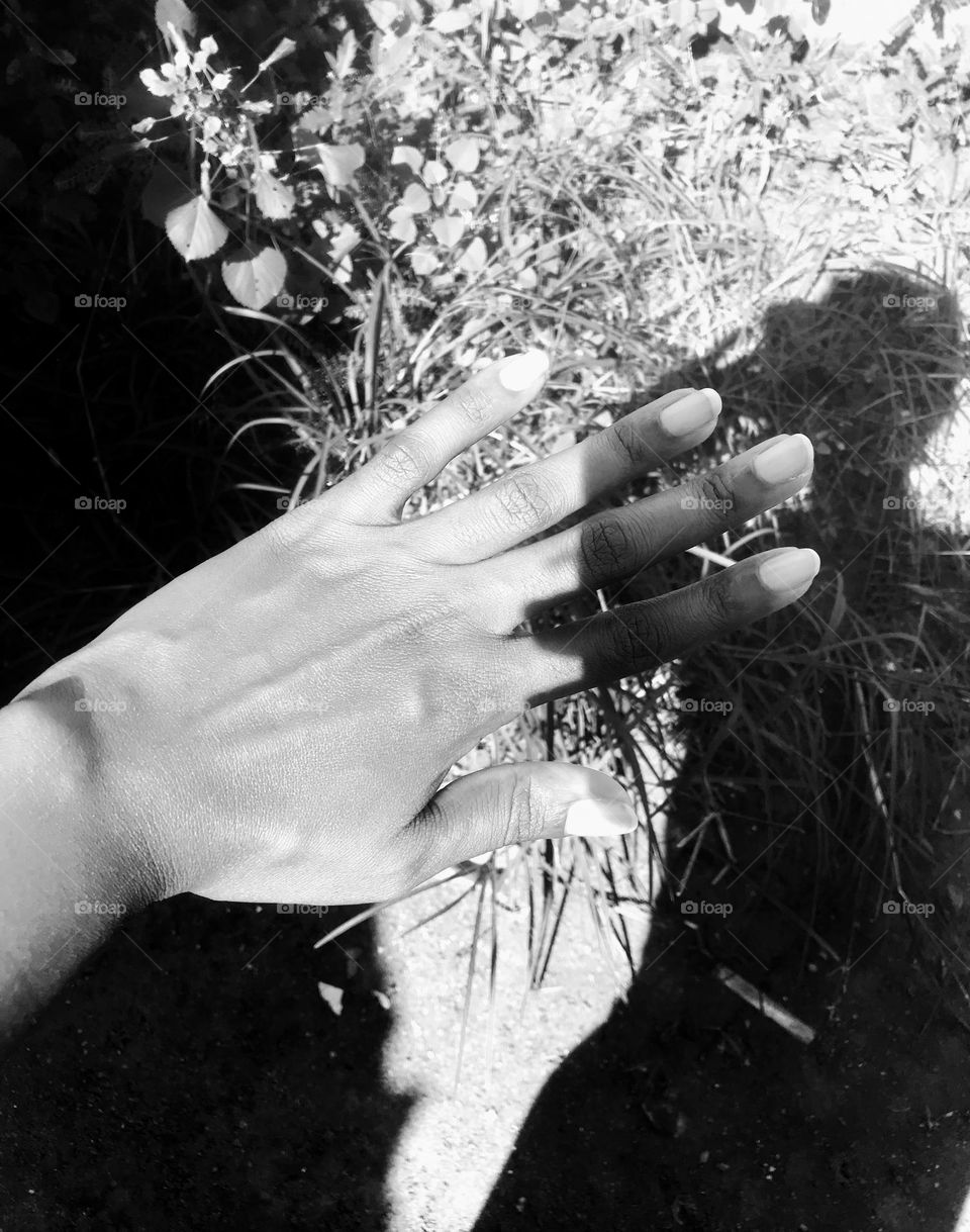 dark symbols rain, light symbols sun.but i chose summer all day.