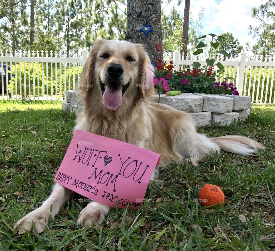 Wuff you mom! Happy Mother's Day 