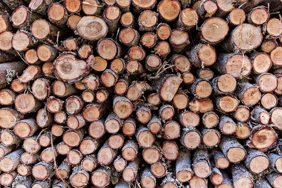 Round wood logs stacked on pile.
