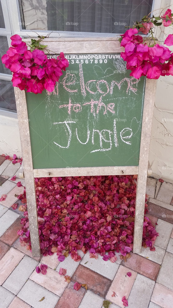 Welcome to the Jungle. A sign we made to welcome our friends over for a party.
