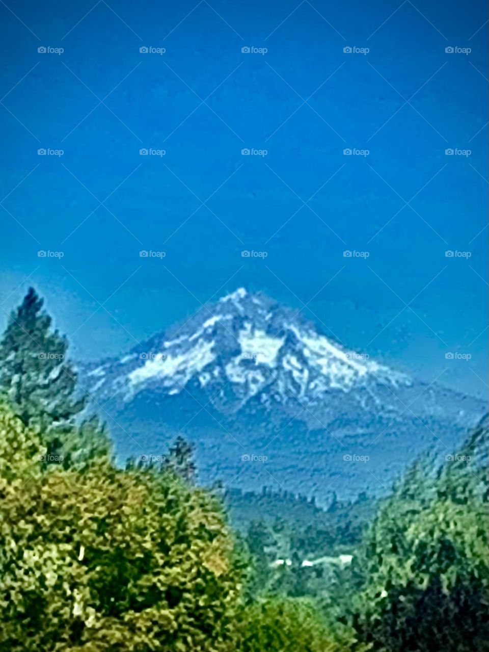 MT.HOOD HOT SUMMER VIEW