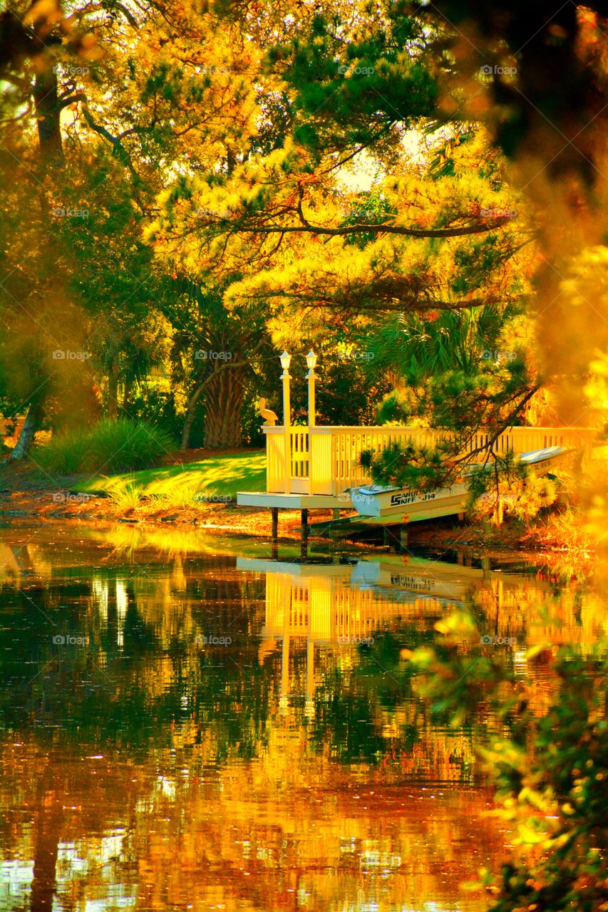 Beautiful lagoon in the fall 