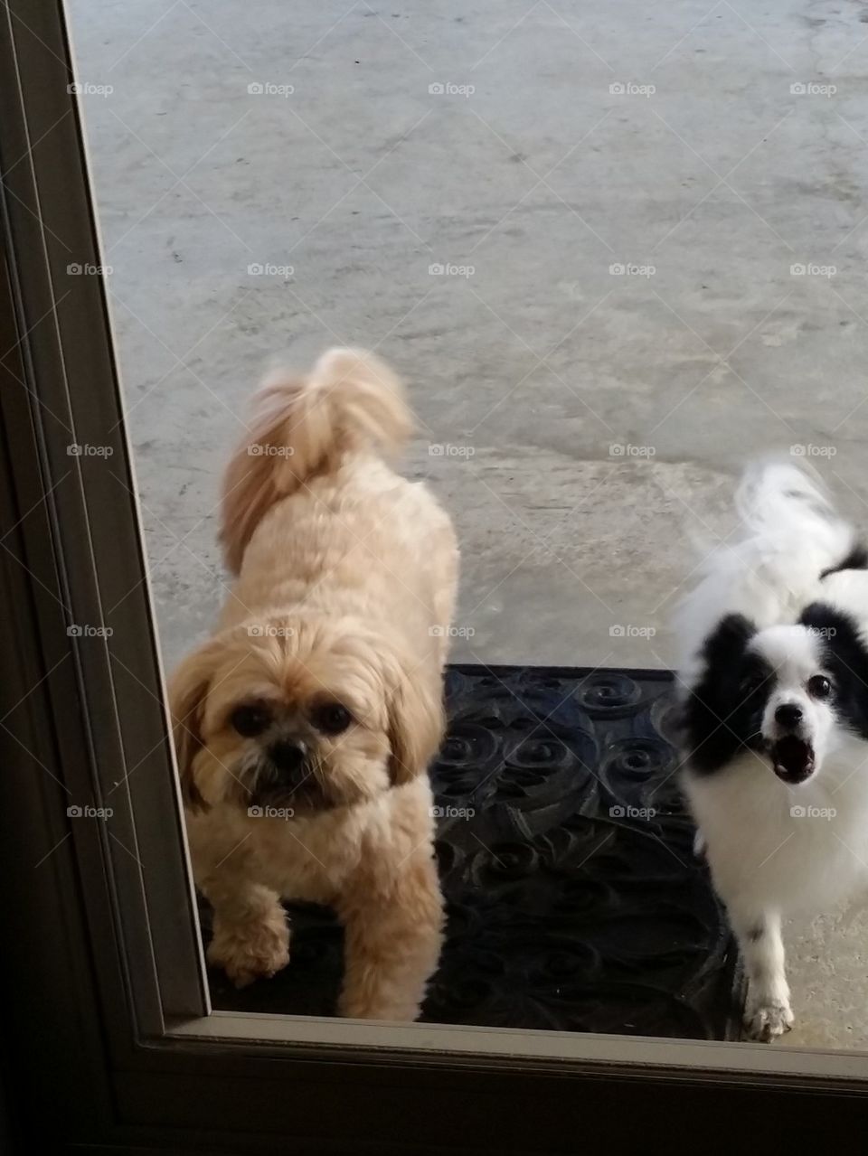 Please let us in!