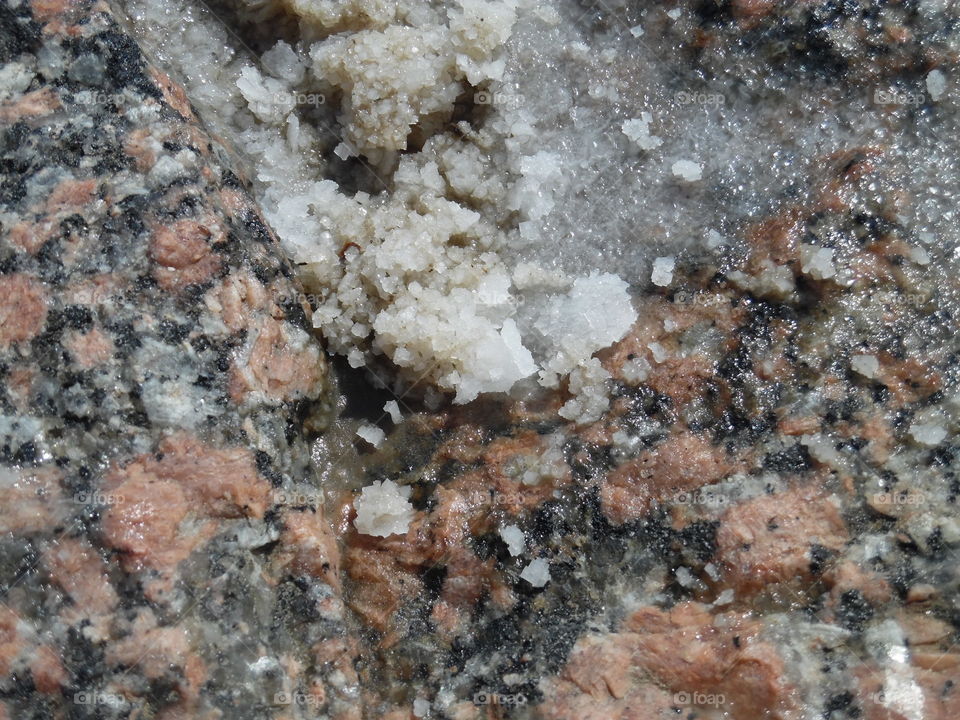 coral reef. This is a picture of some coral reef that I saw while on vacation in the Gulf of Mexico. 👣 🚶 🏃 🔥 💨