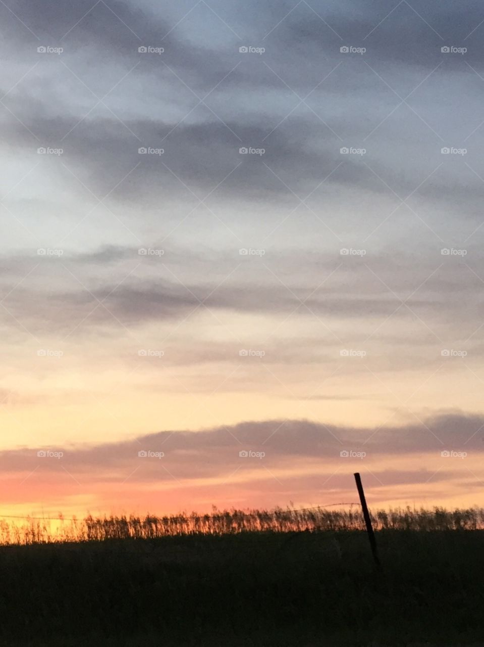 Colorado Sunrise 
