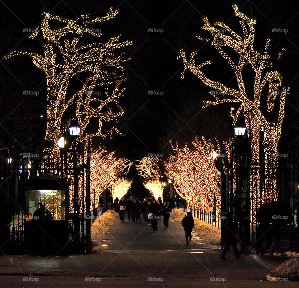 Columbia University at Night. Holiday lights adorn the Columbia University campus at night. 
Zazzle.com/Fleetphoto 