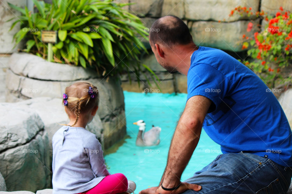 Rear view of a father and daughter near duck in pond