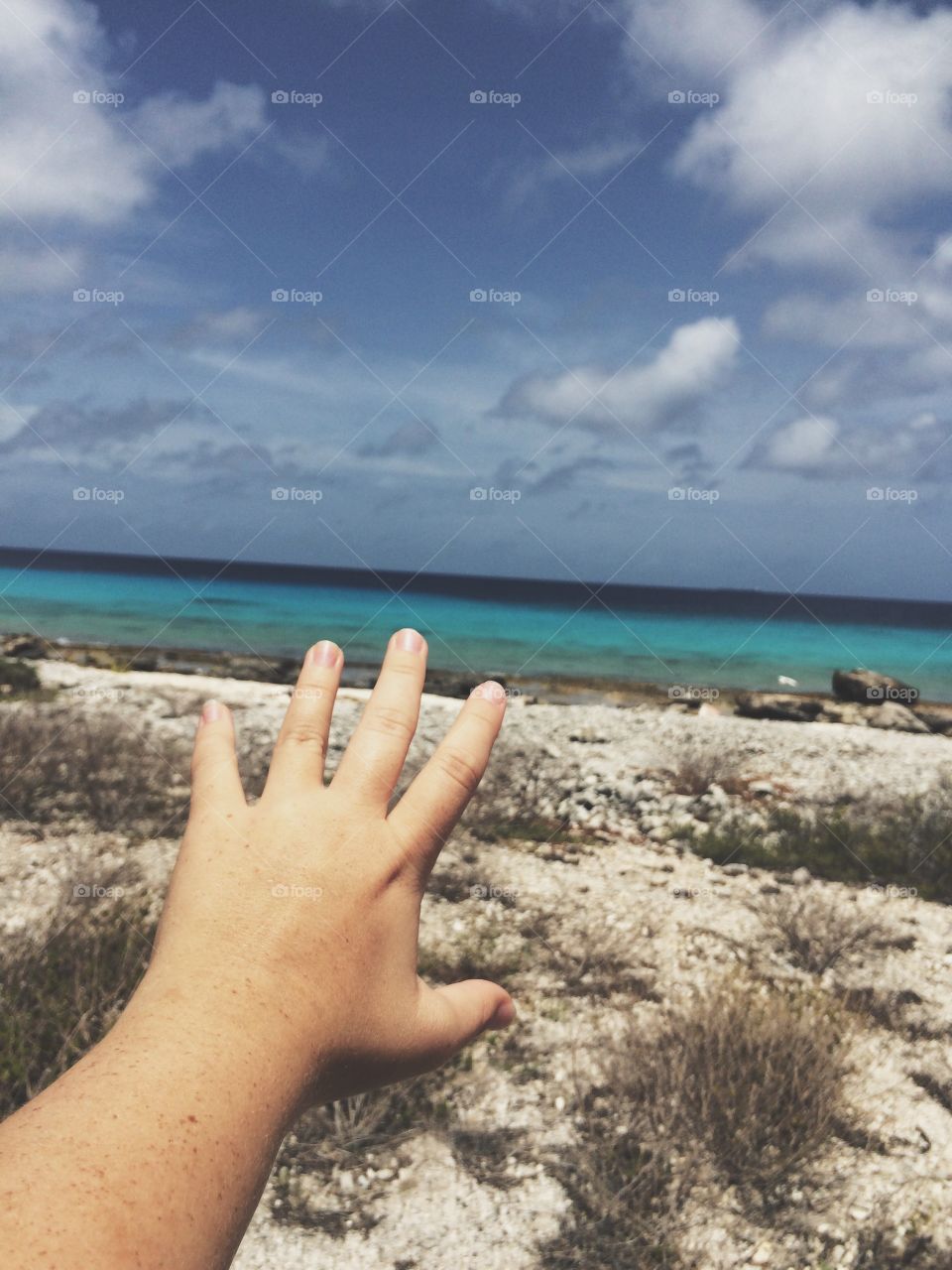 The ocean on the island of Bonaire. Bluer than blue, a freckled hand reaching out toward the sea