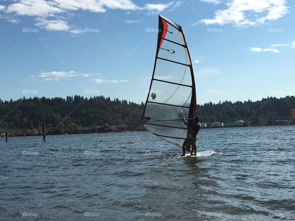 Man windsurfing in harbour closeup