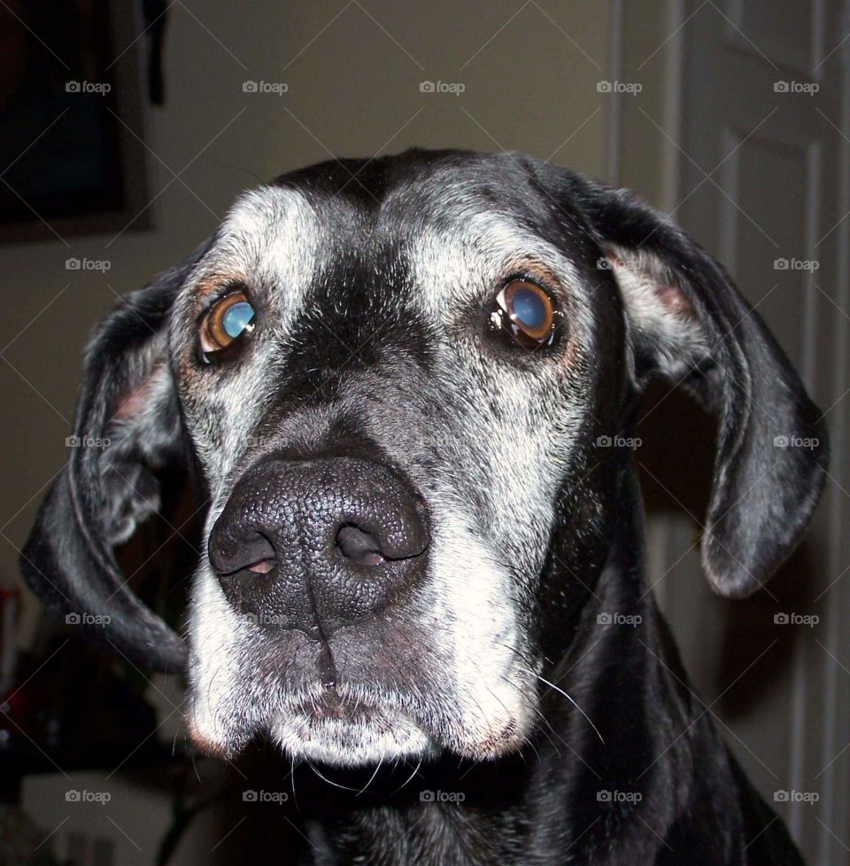 My beautiful Lady Bug ❤