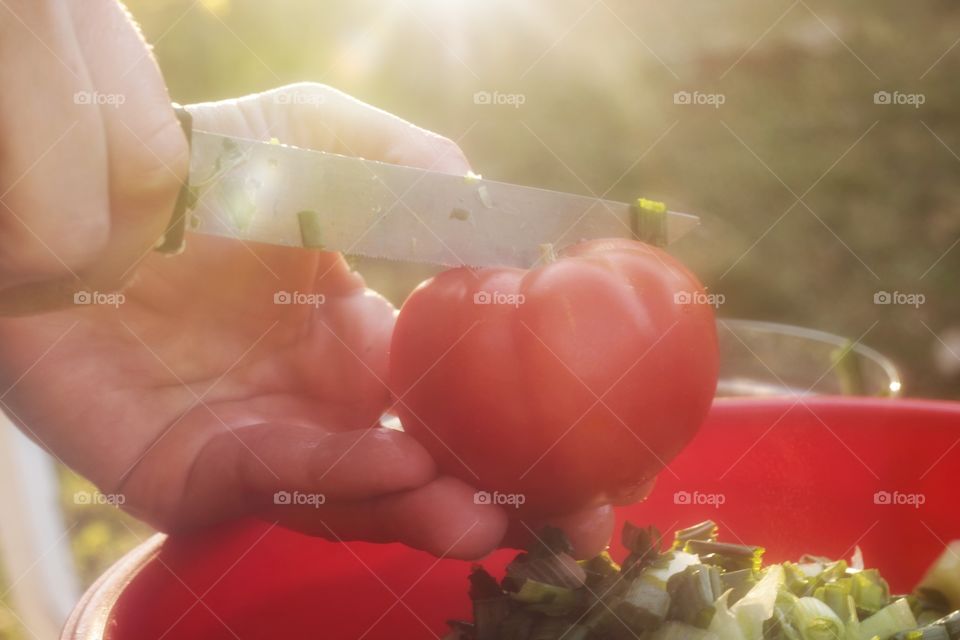 Tomatoes 