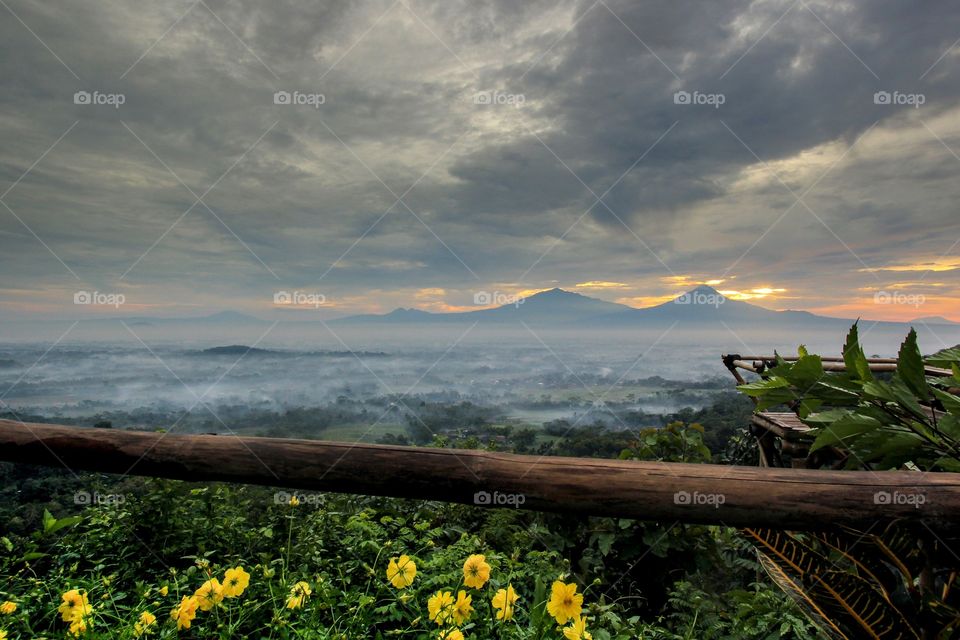 Fog over valley