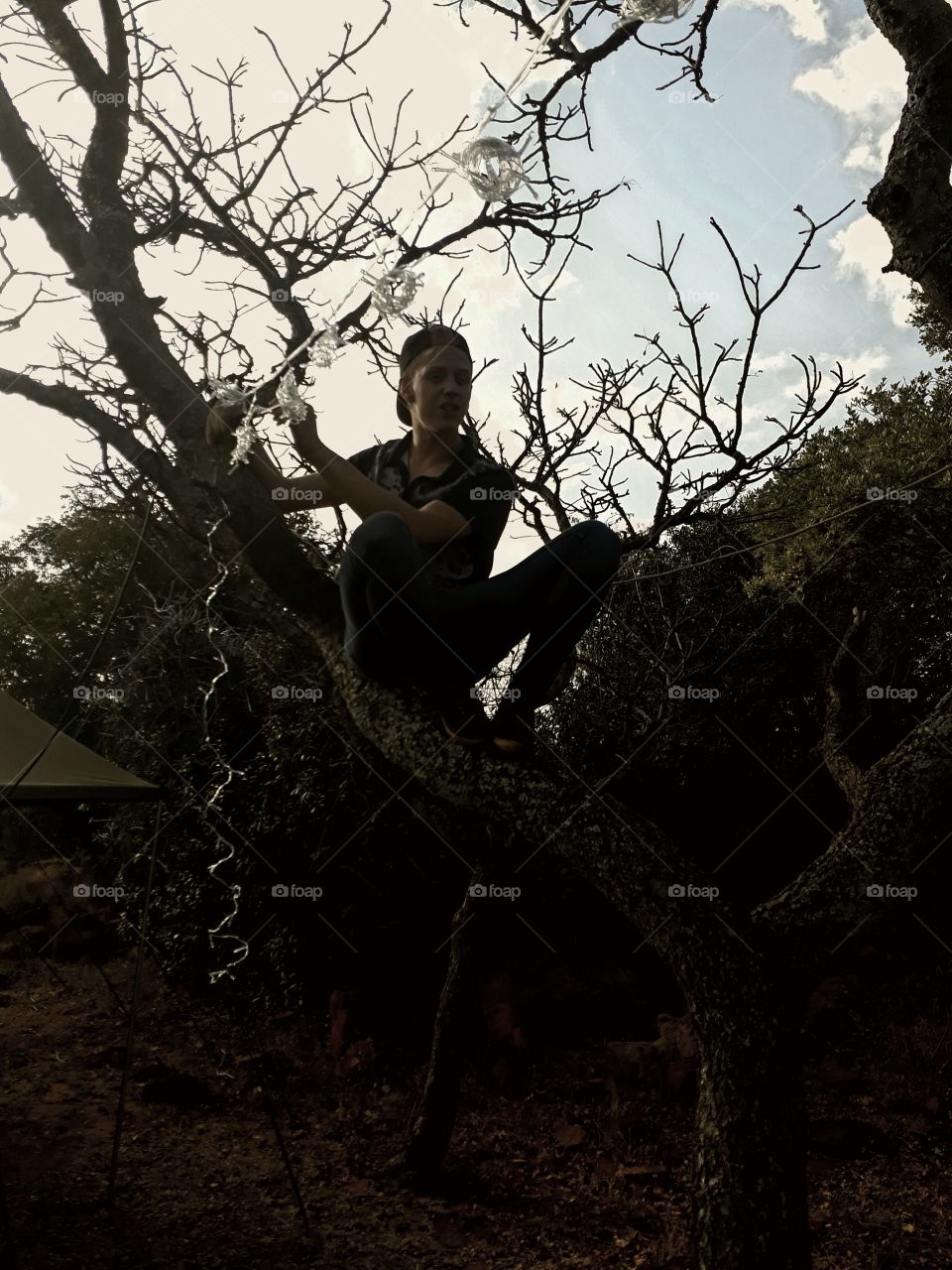 Love sitting the tree