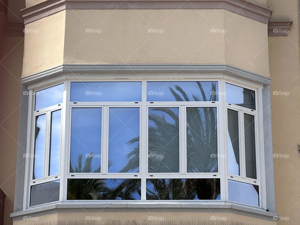 Palm#mirror#windows