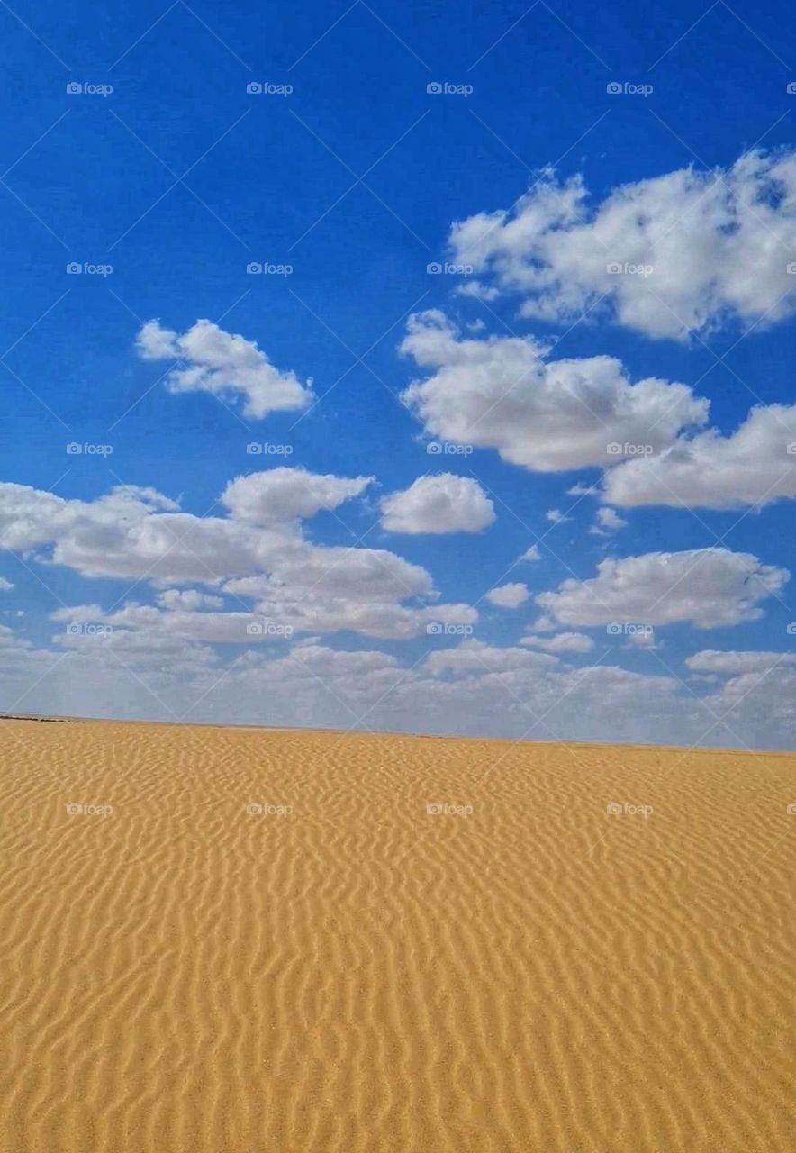 Desert