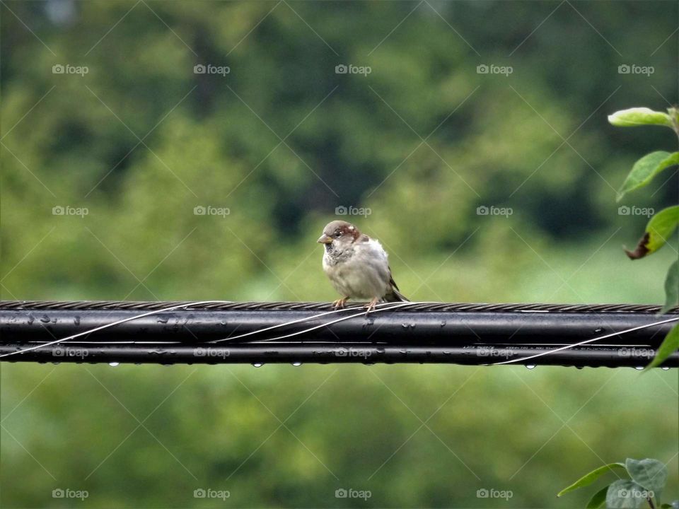 looking cute on rainy day