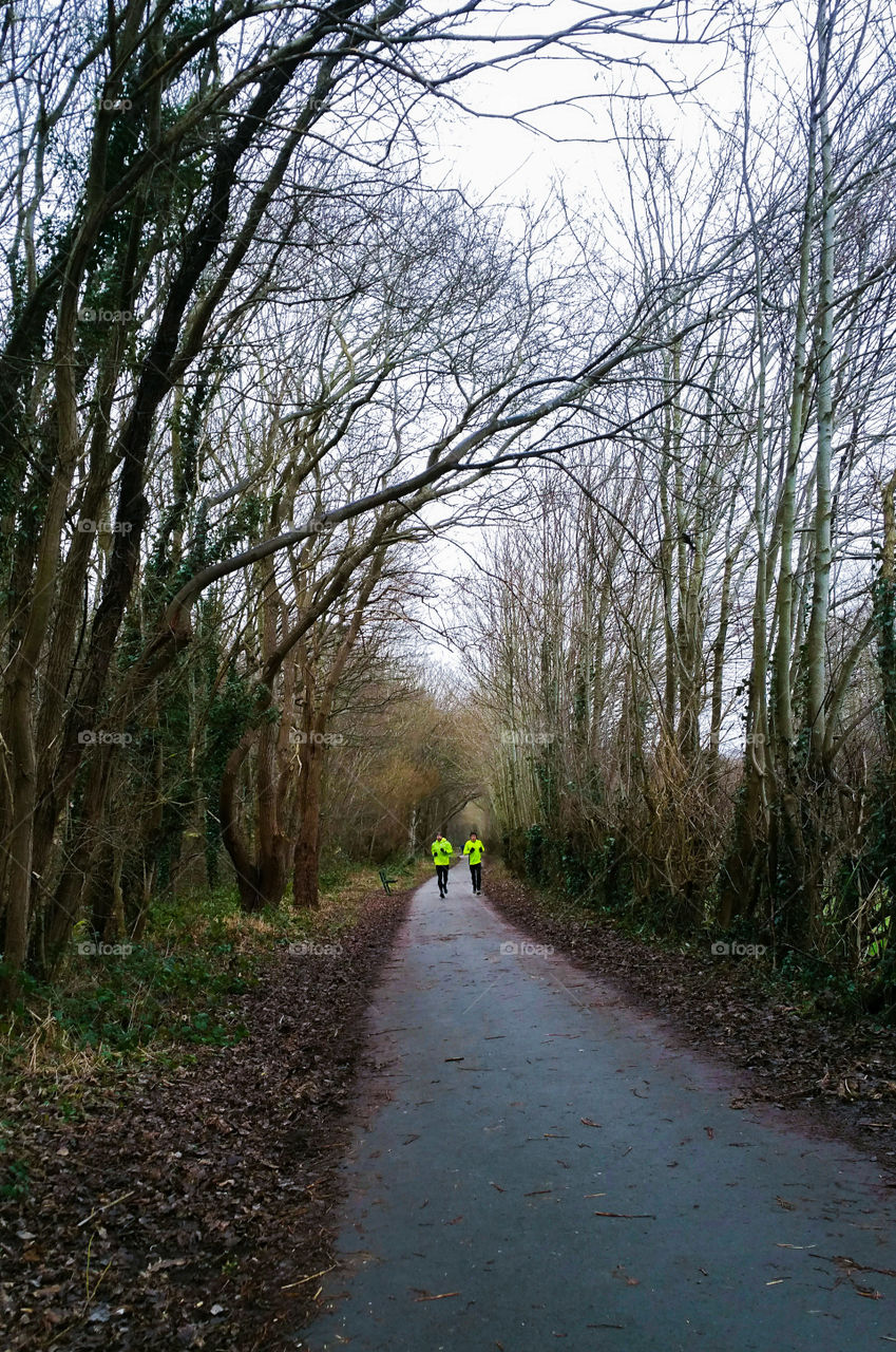 Runners in a winter park