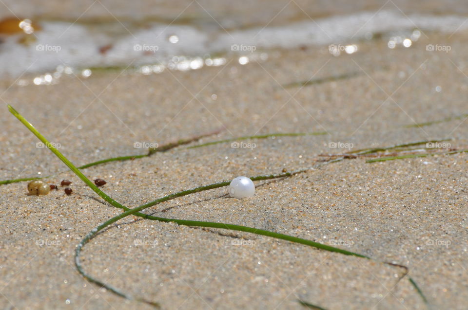 Pearl on the seashore