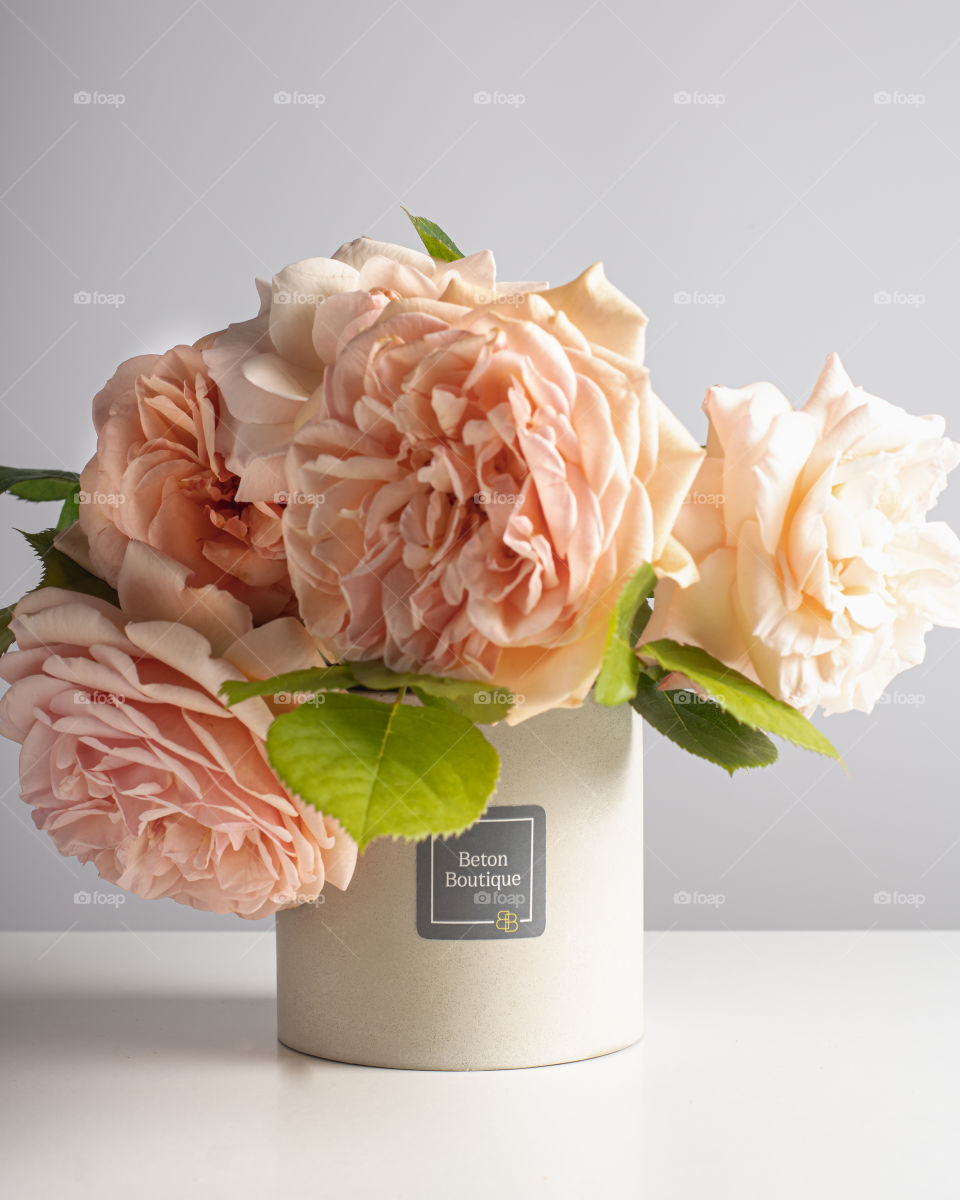 Roses in a Beton pot