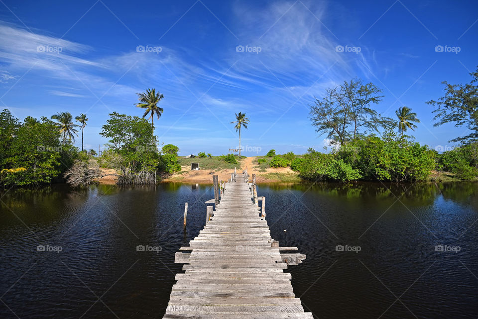Palm trees on tropical beach with blue sky background