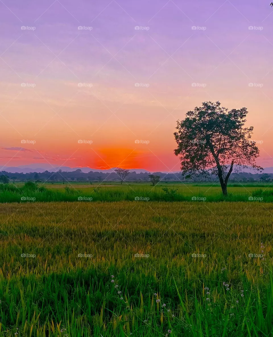 Sunset
