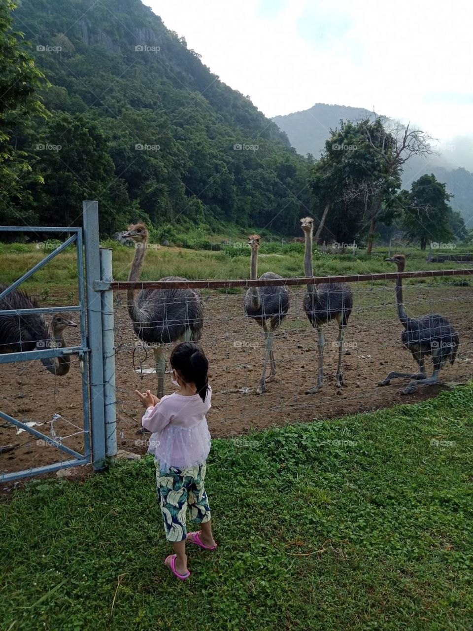 I like your home, there are mountains inside