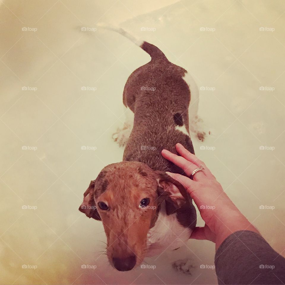Trevor does not like bath time!