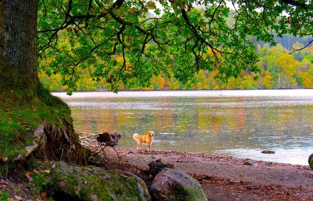 Autum 