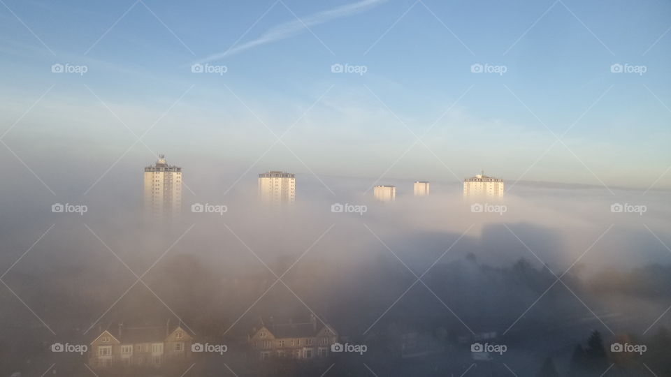 fogy Glasgow