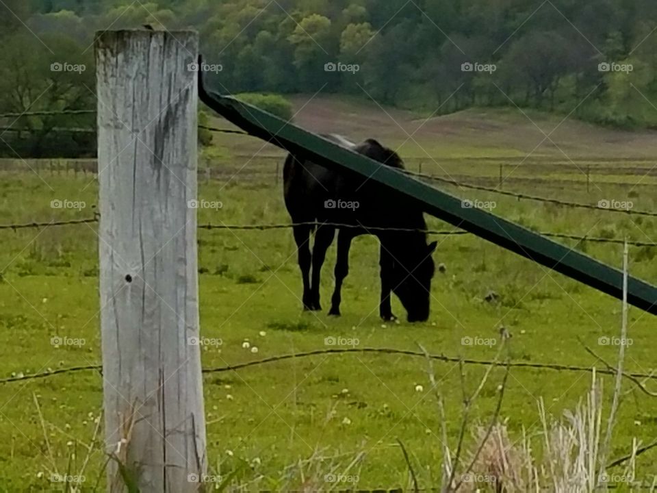 Driving the Back Roads and enjoying everything around us