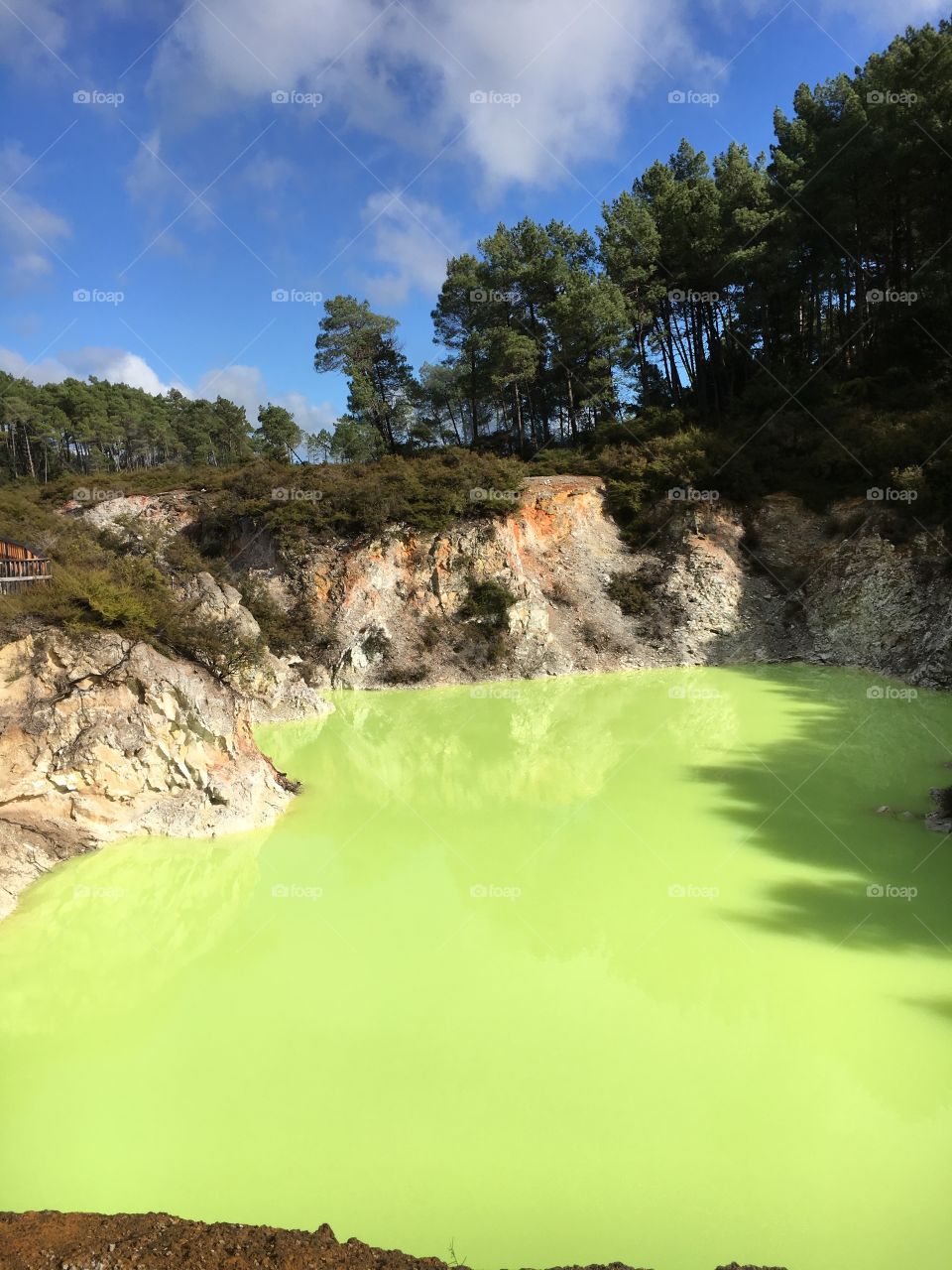 Rotorua green pool hot springs 