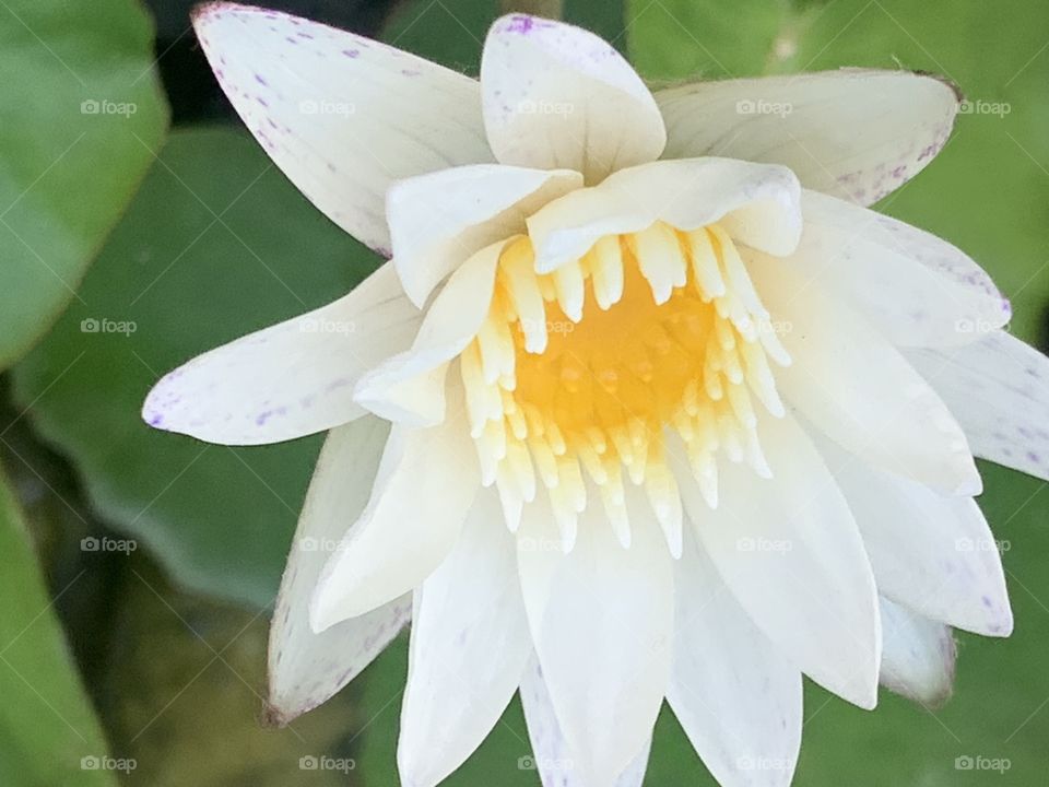 The stories of the nature, Countryside (Thailand)