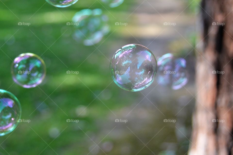 Bubbles 