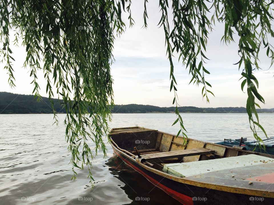 Willow tree and wooden boat on the lake