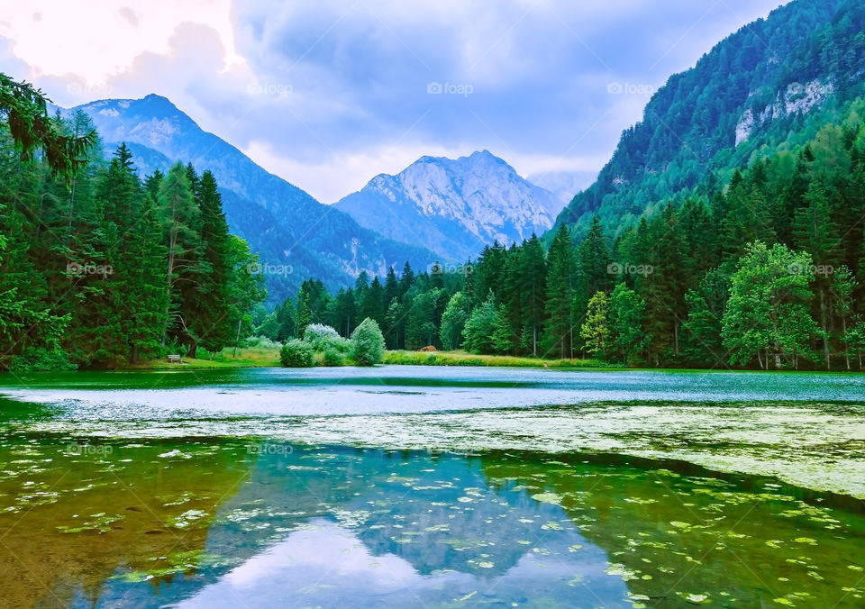 Water, No Person, Nature, Wood, Travel