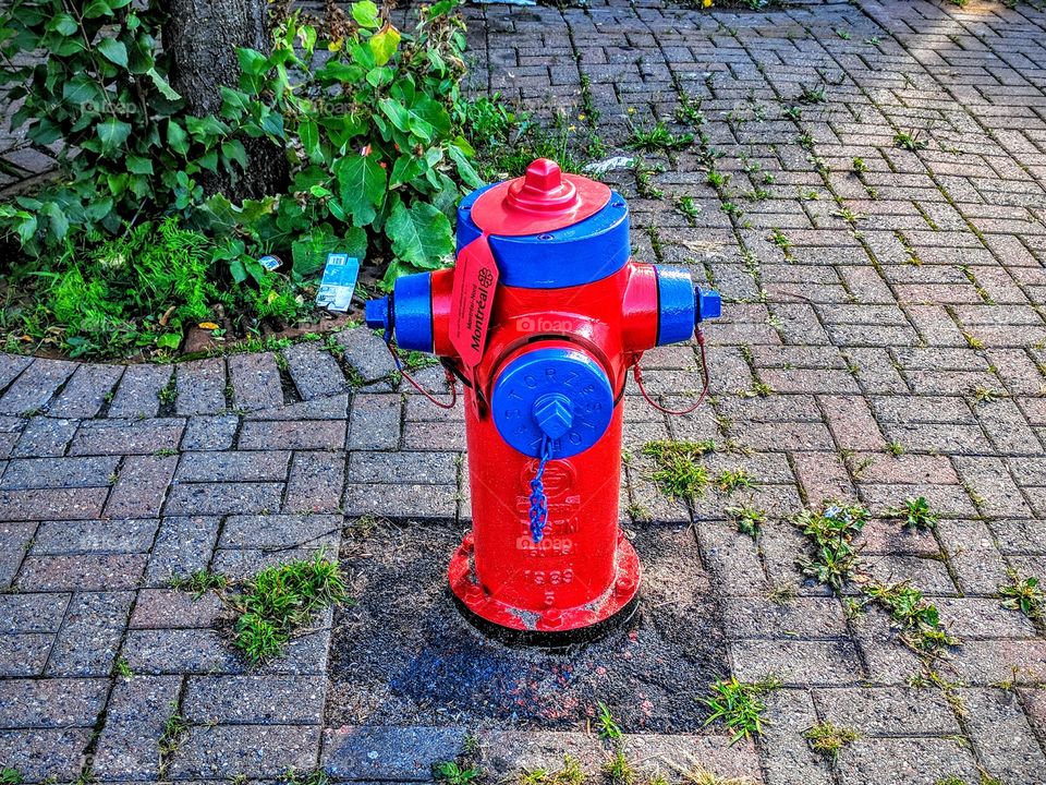 Fire Hydrant
