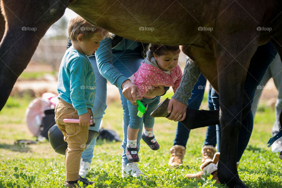 kids learning how to brush the horse's hooves