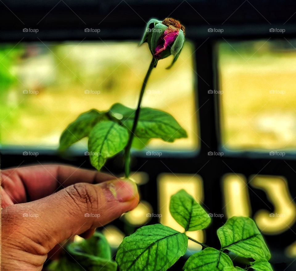 Change and fade away is the way of nature....