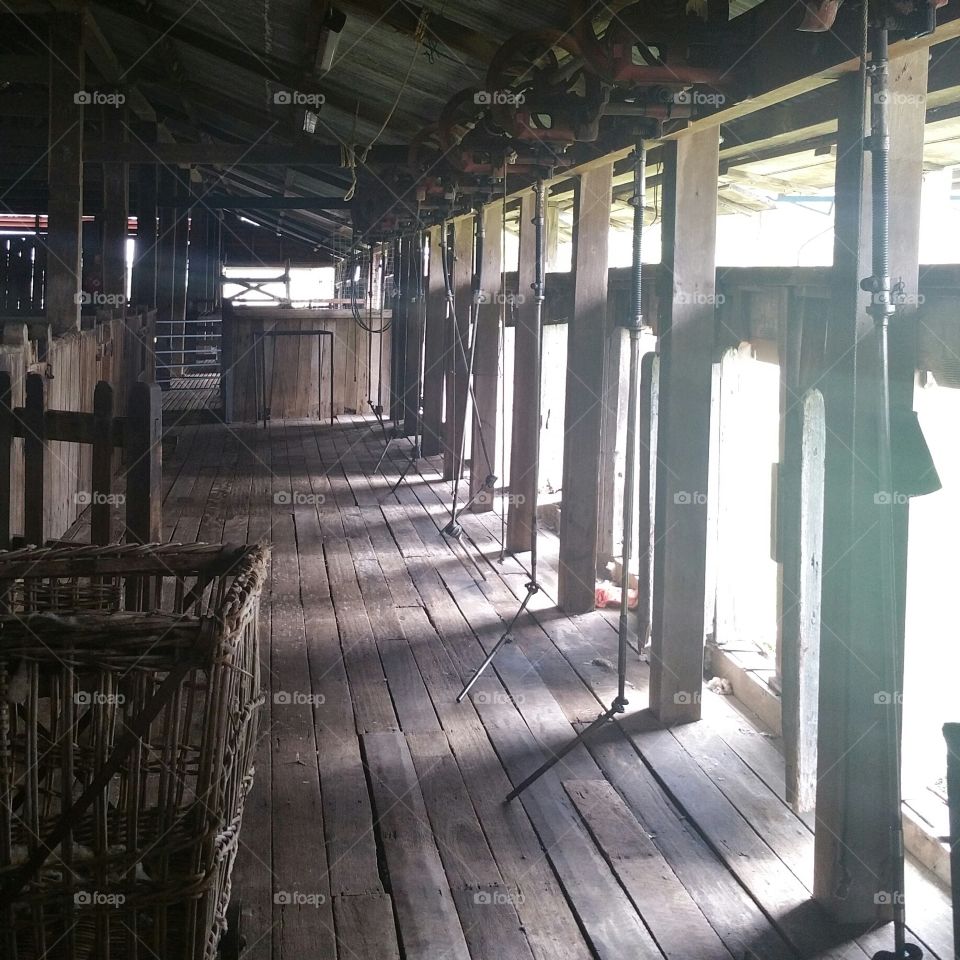 Woolshed