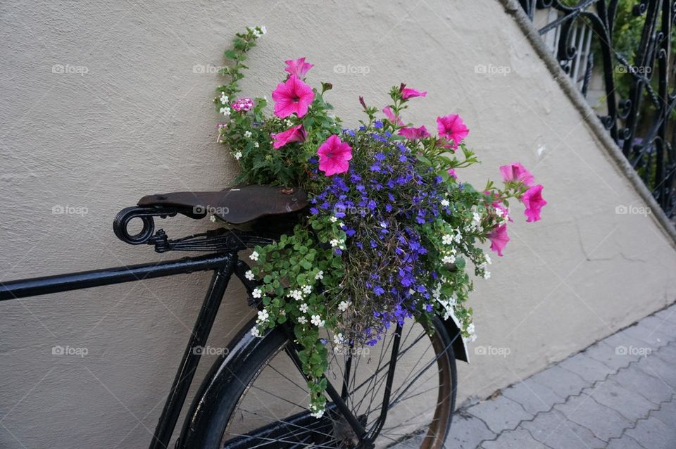 Flowers on the back