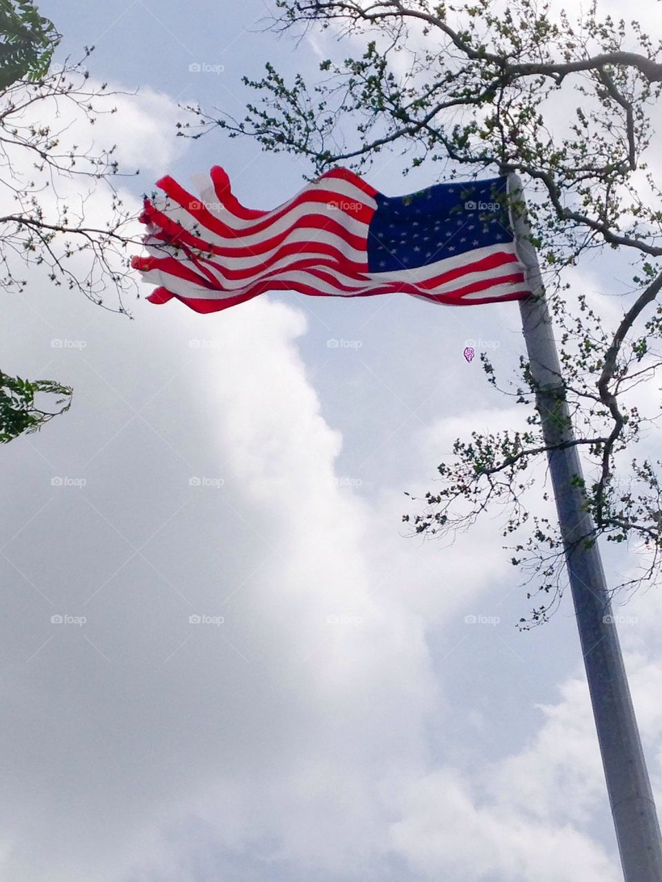 You're a grand ole flag