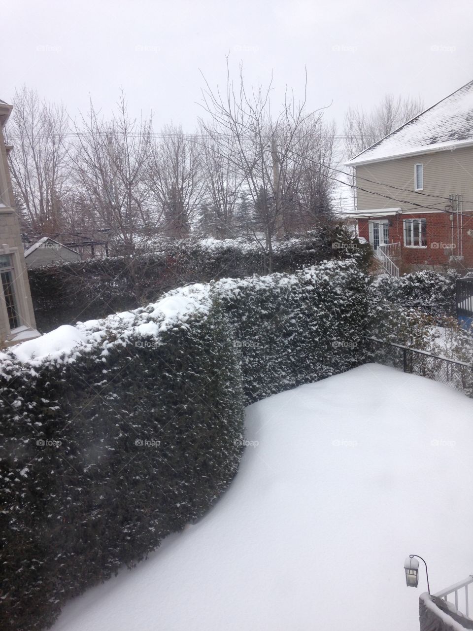 The snow is falling down in winter season, meanwhile in Canada, everything is cover in white 
