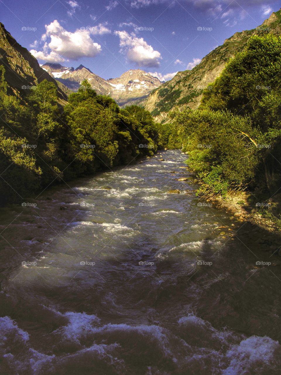 French alps 