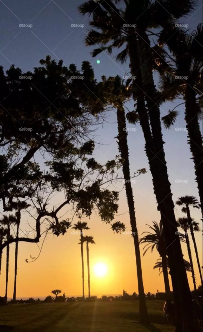 Sunset