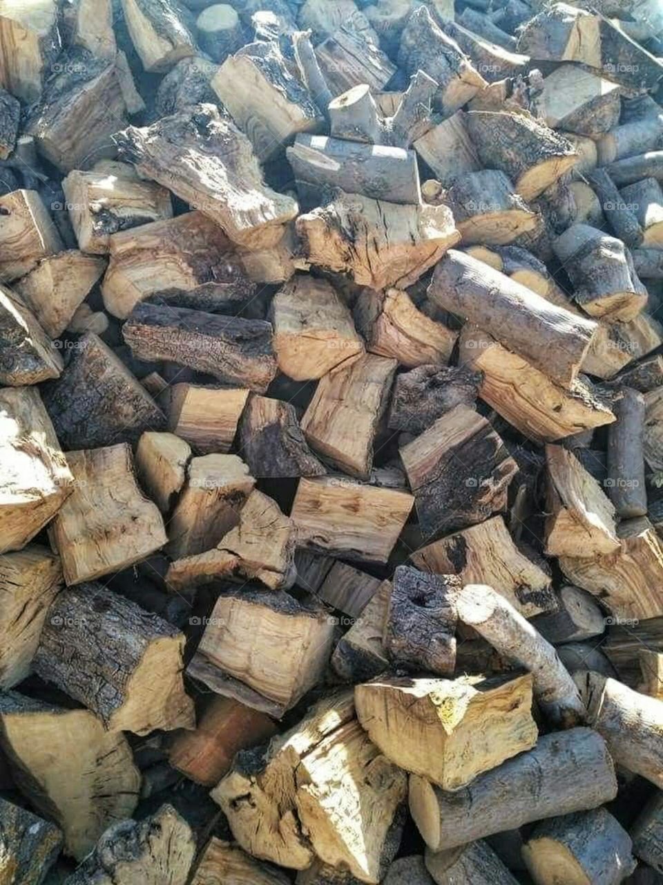 wood for fire