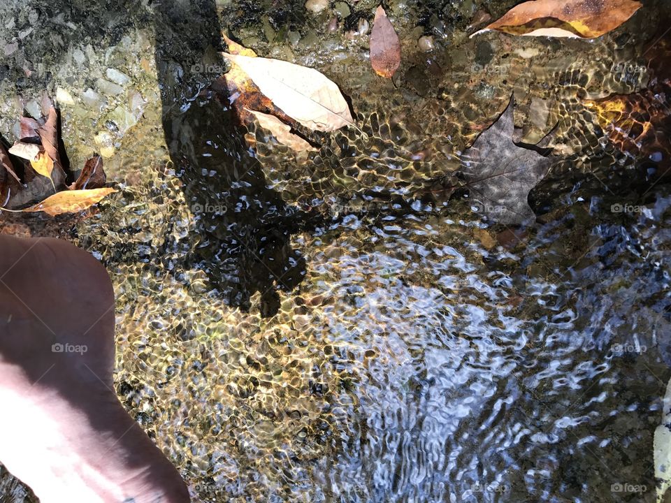 Autumn rain reflections 