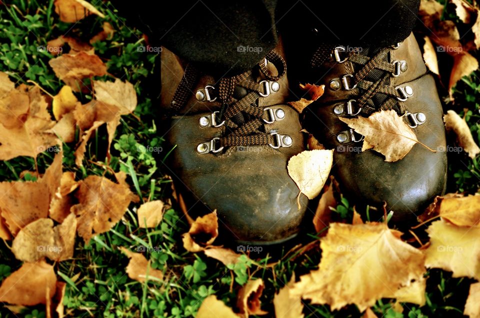 The spirit of autumn can be seen anywhere on the ground, on the dried colorful leaves and you can feel it in the cold breezes outside.