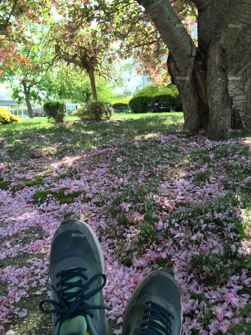 Sitting in spring