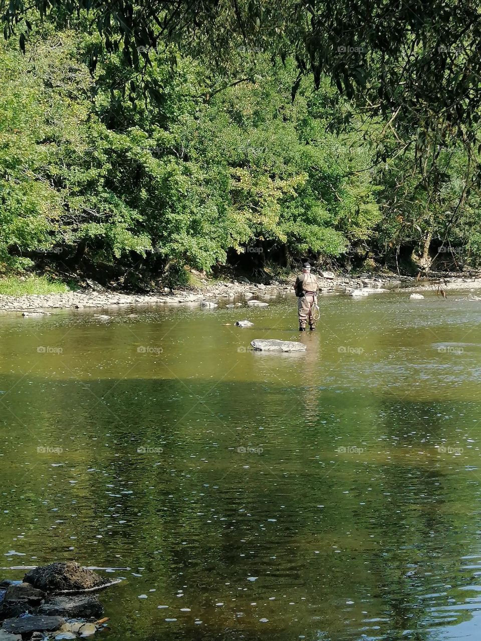 The Semois, a Belgian river